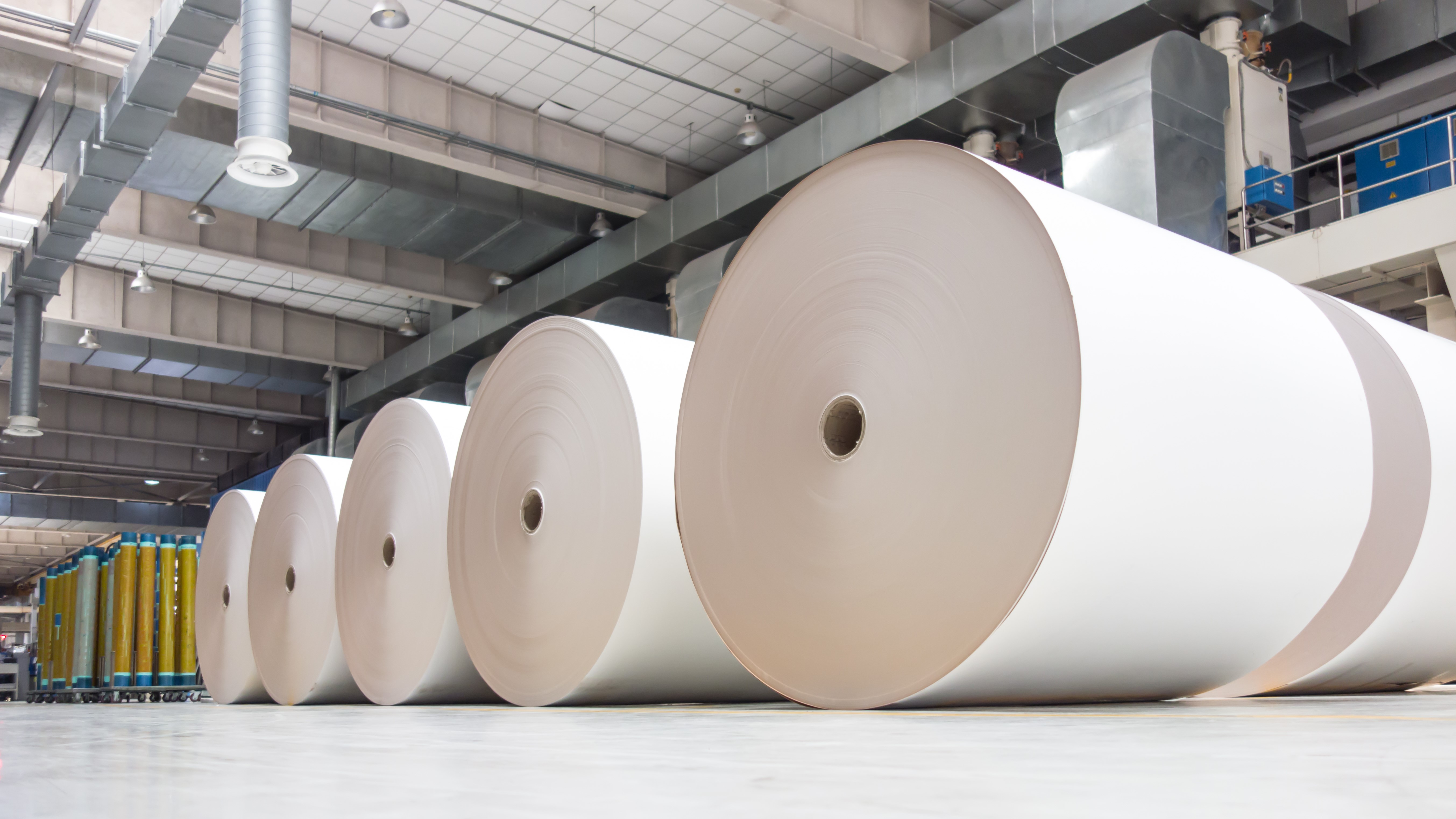 Paper workers and industry call for safeguards over unintended effects of EU climate policies on jobs, global competitiveness, and climate itself